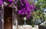 AHR Hotel Altura Porto Rafael, Garten mit Blumen