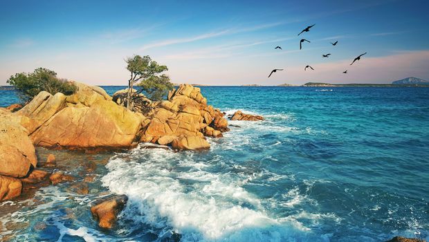 Wilder Strand auf der Insel